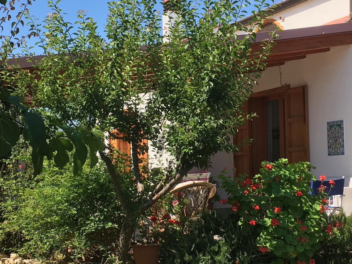לינה וארוחת בוקר קאסטלמארה דל גולפו Uliveto House מראה חיצוני תמונה